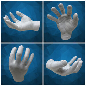 Harry Allen Areaware Reality "Grab" Hand Resin Wall Mounted Hook Art Sculpture